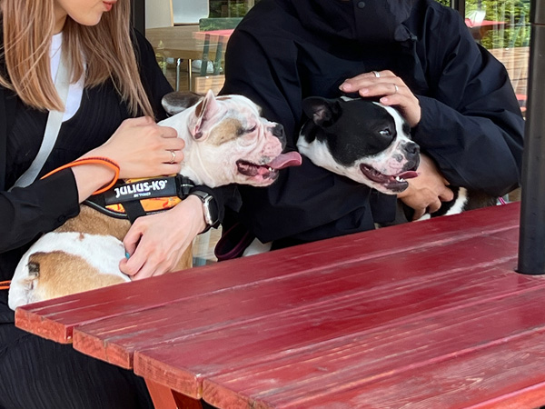 開放的なテラス席で愛犬とランチ