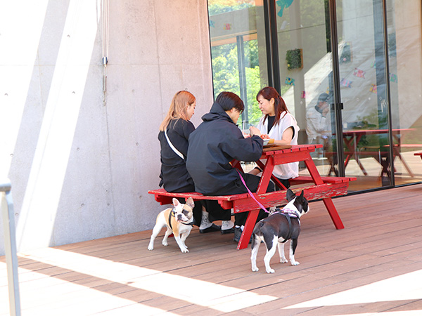 写真1