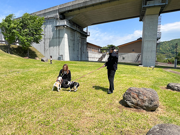 写真2