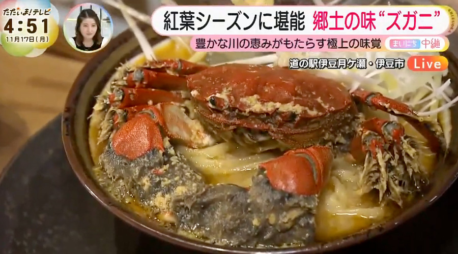 テレビ静岡「ただいまテレビ」