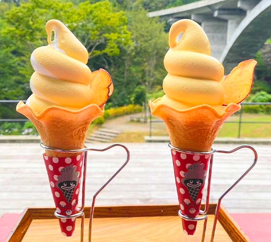 おしらせイメージ写真