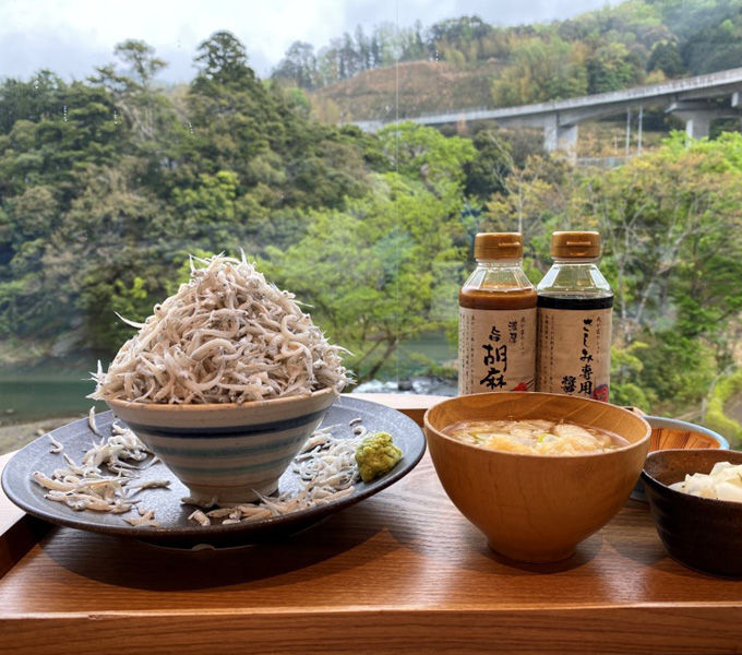 シラスどっさり丼ぶり