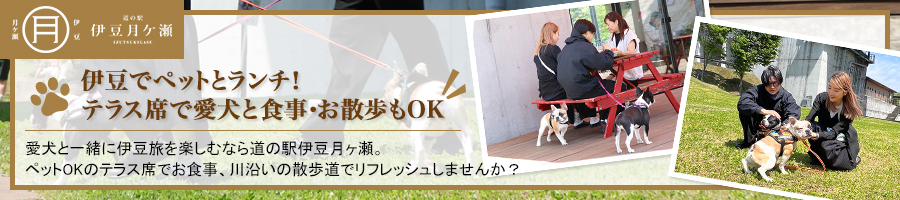 愛犬との食事場所